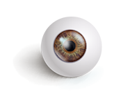 Dominant Eye Image