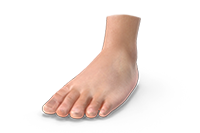 Dominant Foot Image