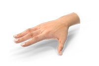 Dominant Hand Image