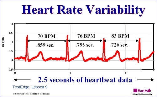 Heart Rate Variability Figure