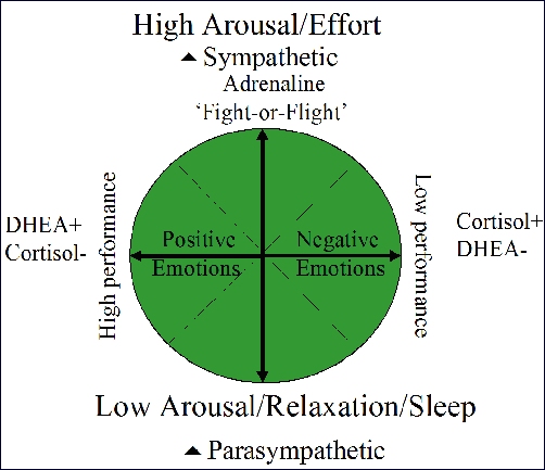 Heart coherence – Cortisol and DHEA Figure